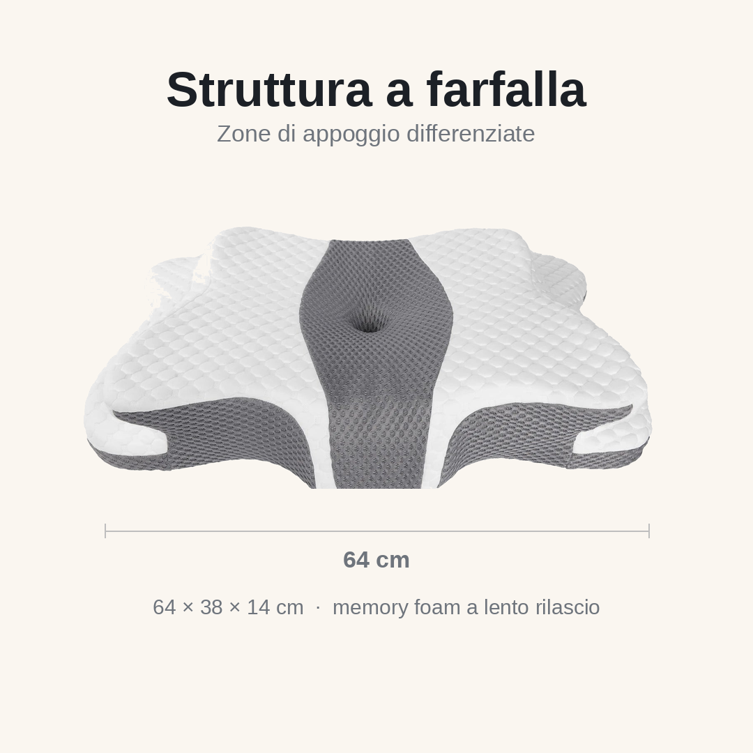 Struttura a farfalla con zone di appoggio differenziate, 64 x 38 x 14 cm